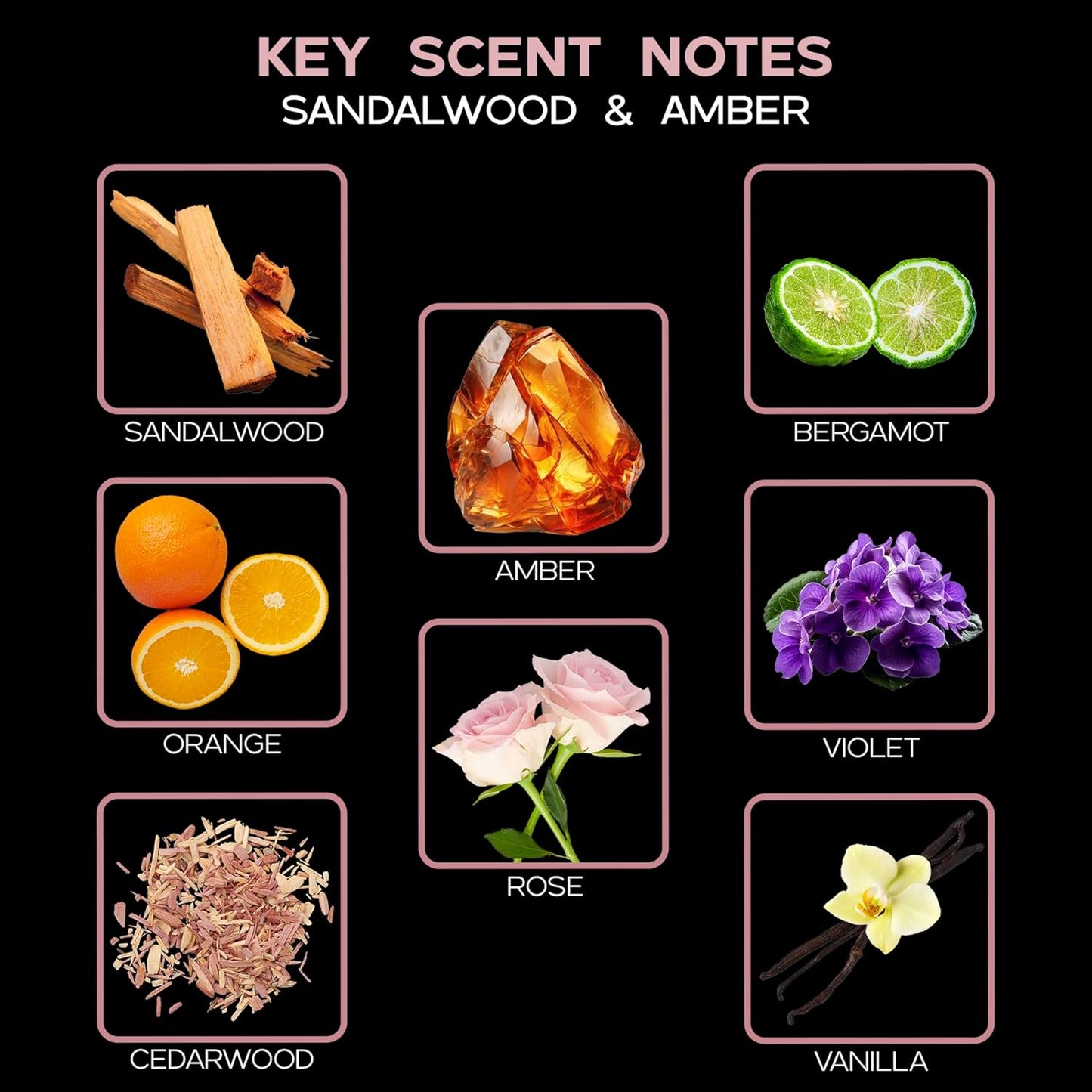 Sandalwood & Amber Reed Diffuser Oil Refill with Reed Sticks | Sandalwood & Amber with Notes of Bergamot, Orange, Rose & Violet with Base of Cedarwood & Vanilla, 4 Oz | Made in the USA