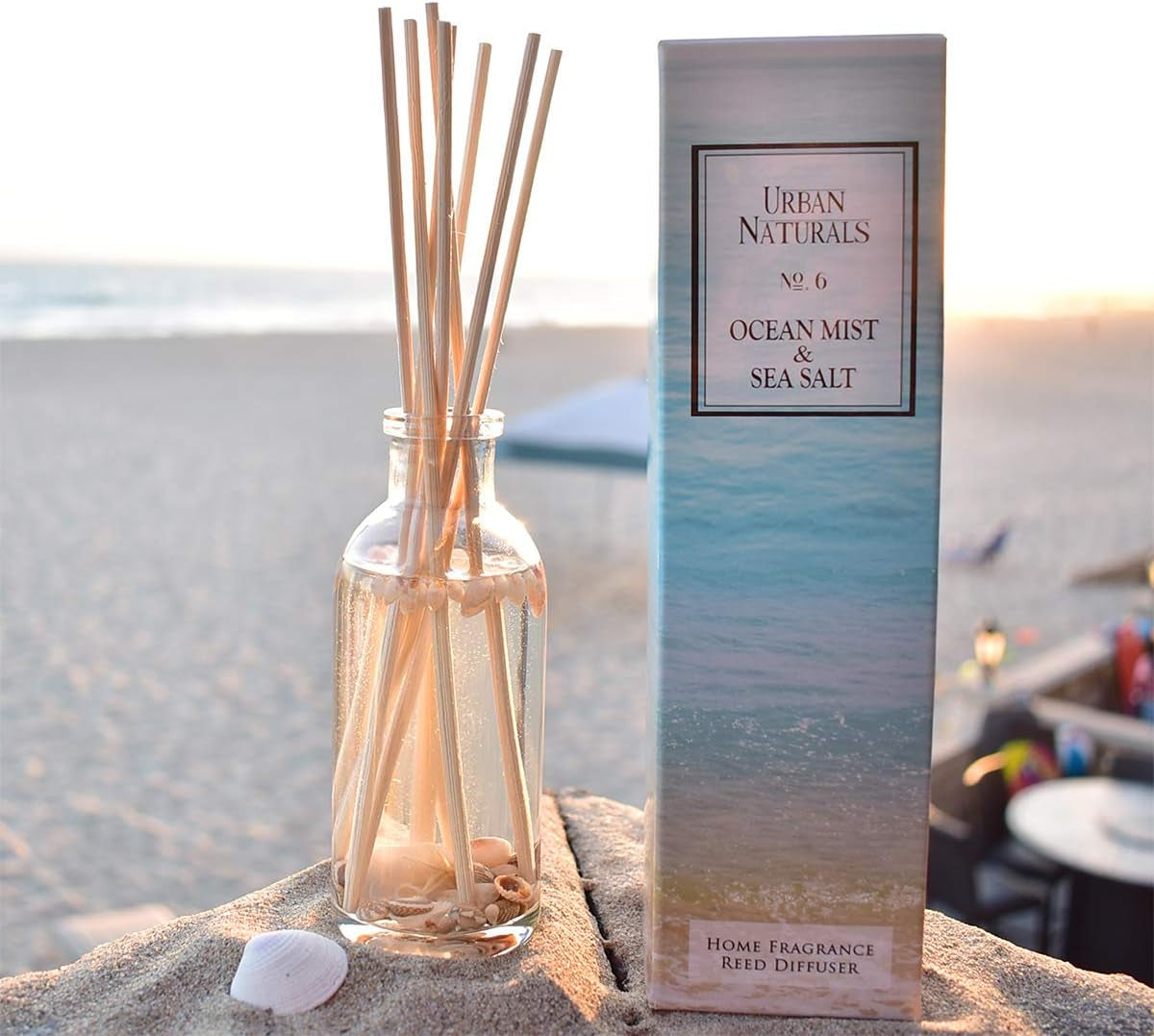 Ocean Mist & Sea Salt Reed Diffuser Set | Made with Essential Oils & Real Botanicals | Decorative Air Freshener for Large Rooms | Beautiful Home Décor Makes a Great Gift