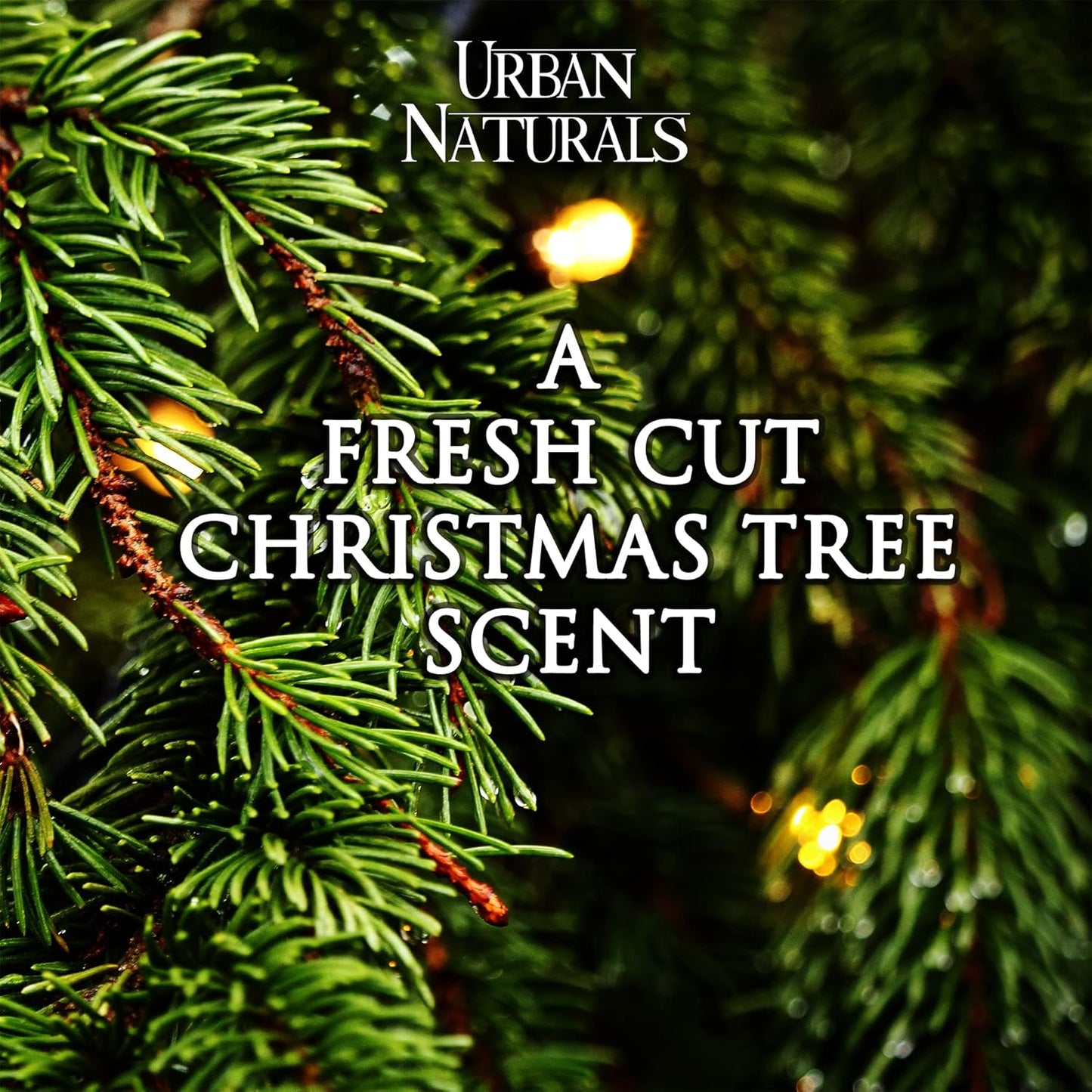 Balsam Forest Reed Diffuser Oil Set - Real Juniper and Pine Cones – Fragrance Notes of Fraser Fir, Evergreen, Pine, Woodsy Cedar and Sandalwood – Vegan 3.75 Ounces – Made in the USA