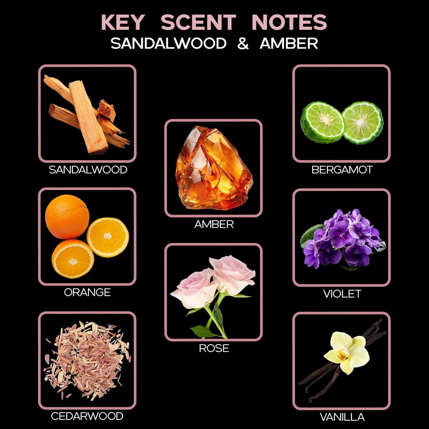 Sandalwood & Amber Reed Diffuser Oil Refill with Reed Sticks | Sandalwood & Amber with Notes of Bergamot, Orange, Rose & Violet with Base of Cedarwood & Vanilla, 4 Oz | Made in the USA