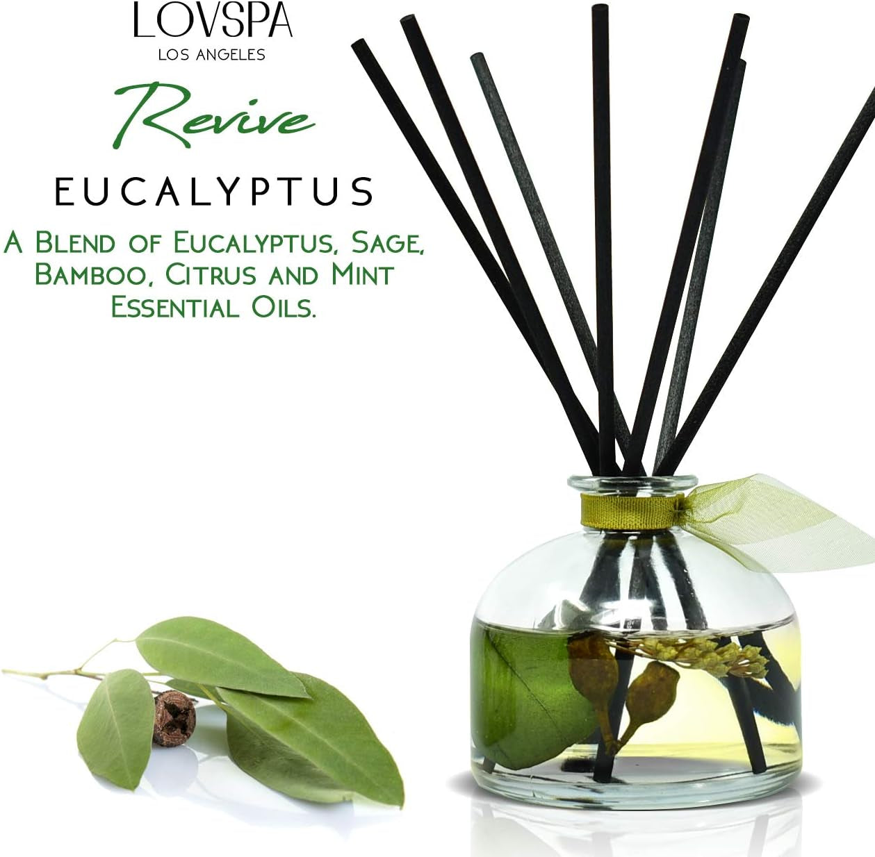 Eucalyptus Reed Diffuser Set for Home, Revive Fresh Eucalyptus, Sage, Citrus & Mint Scent Diffuser with Sticks for Bathroom Shelf Decor Accessories, Top Aromatherapy Gift for Women