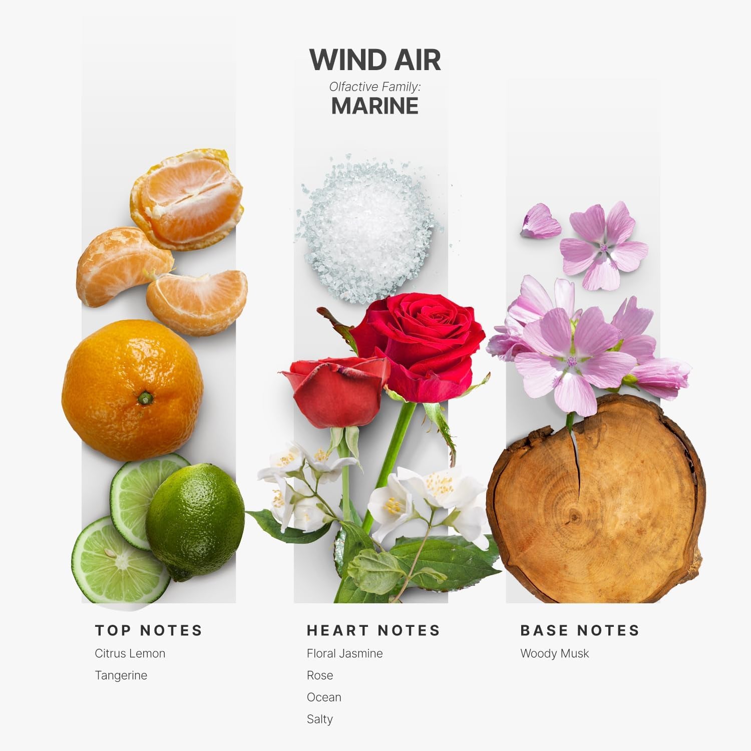Hotel Scents Wind Air 5 Fl Oz (148Ml), Home Luxury Aroma & Hotel Fragrance Diffuser Oil- Hotel Diffuser Oil for Aromatherapy- USA Made, Bigger Bottle, Bolder Aroma & Longer Lasting