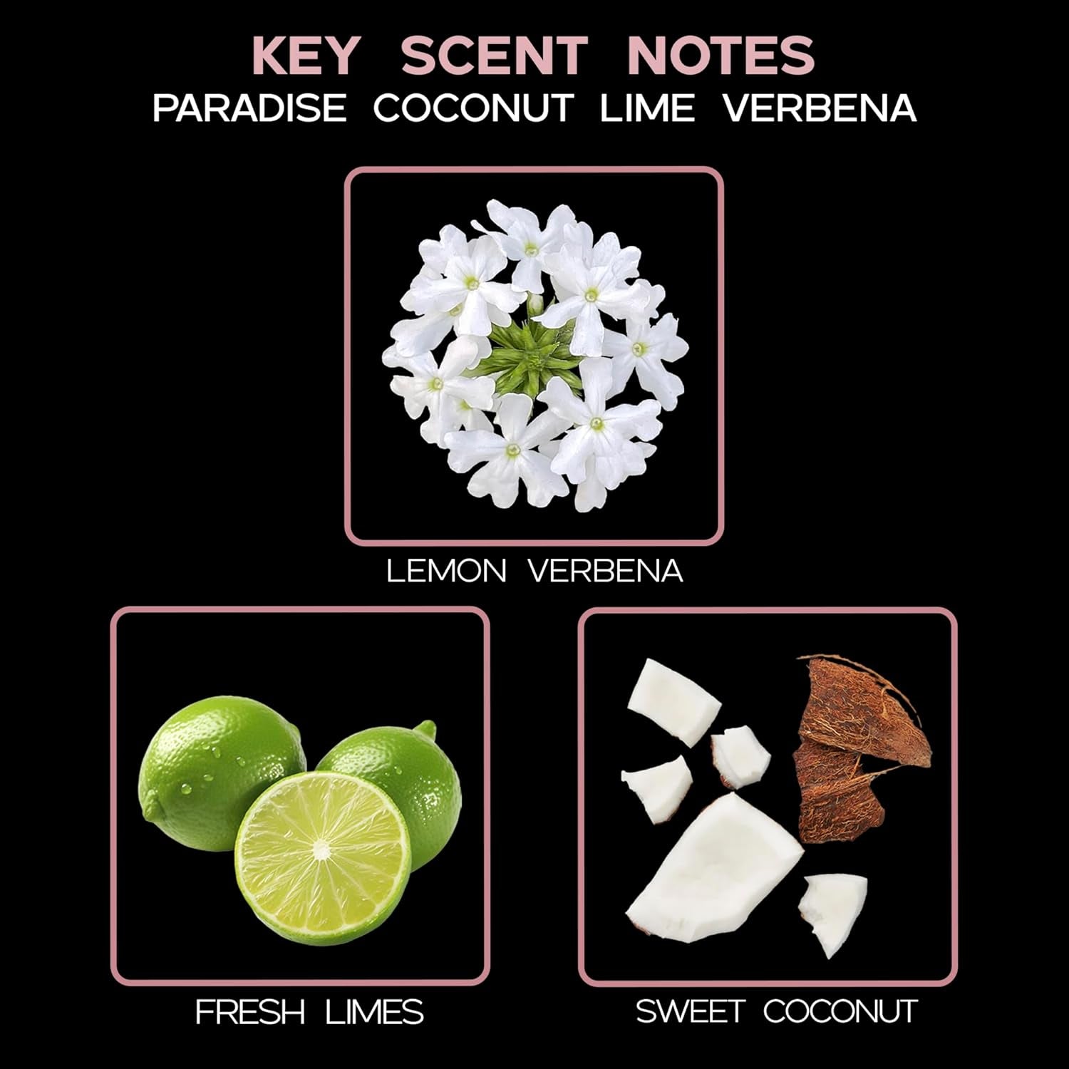 Paradise Coconut Lime Verbena Reed Diffuser Oil Refill with Replacement Reed Sticks | Tropical Blend of Lemon Verbena, Fresh Limes & Coconut, 4 Oz | Made in the USA