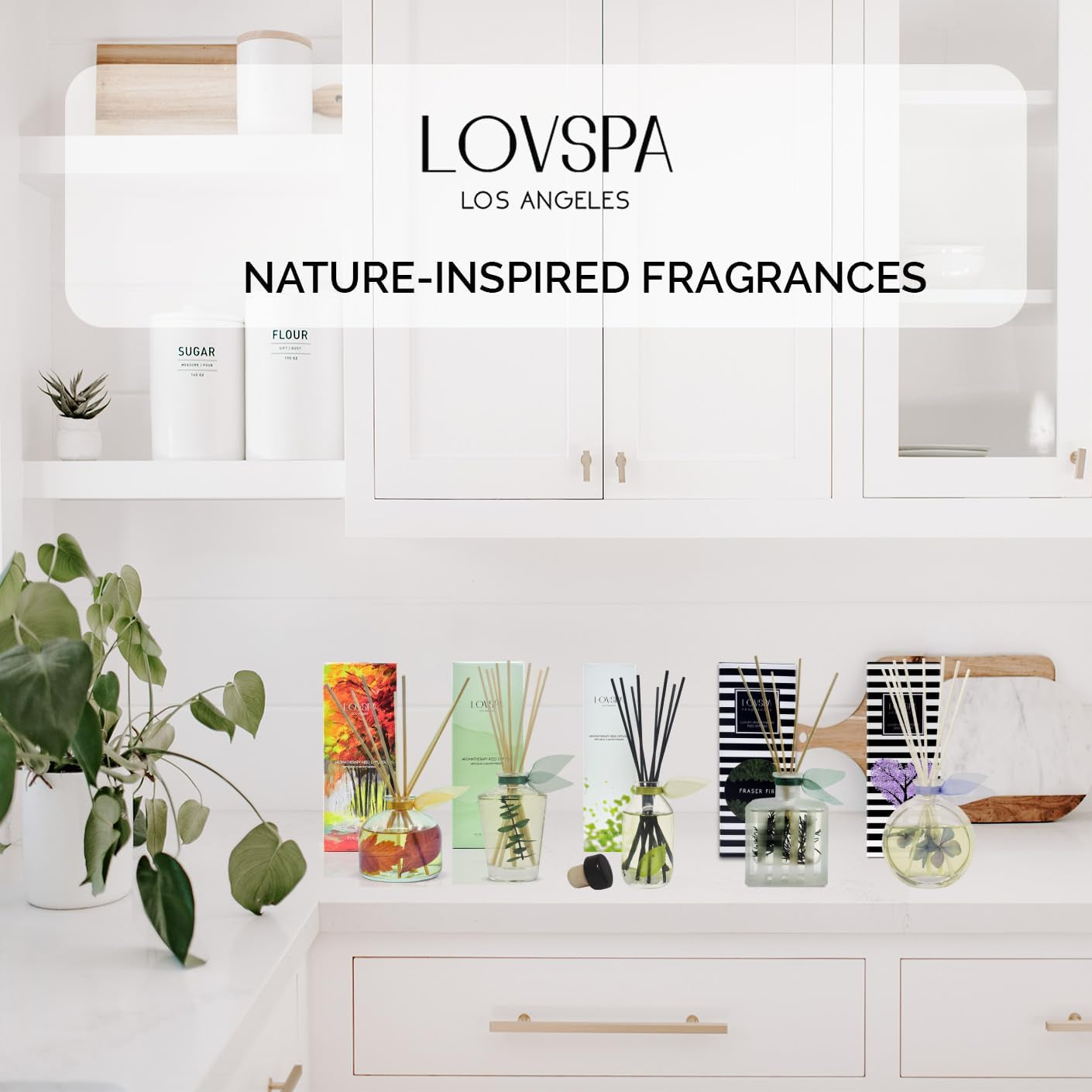 Eucalyptus Reed Diffuser Set for Home, Revive Fresh Eucalyptus, Sage, Citrus & Mint Scent Diffuser with Sticks for Bathroom Shelf Decor Accessories, Top Aromatherapy Gift for Women