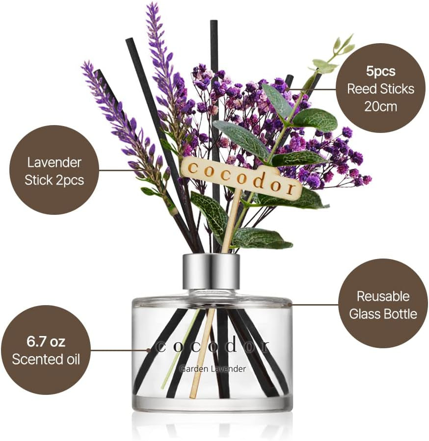 COCODOR Lavender Reed Diffuser/Black Cherry / 6.7Oz(200Ml) / 1 Pack/Home Decor & Office Decor, Fragrance and Gifts