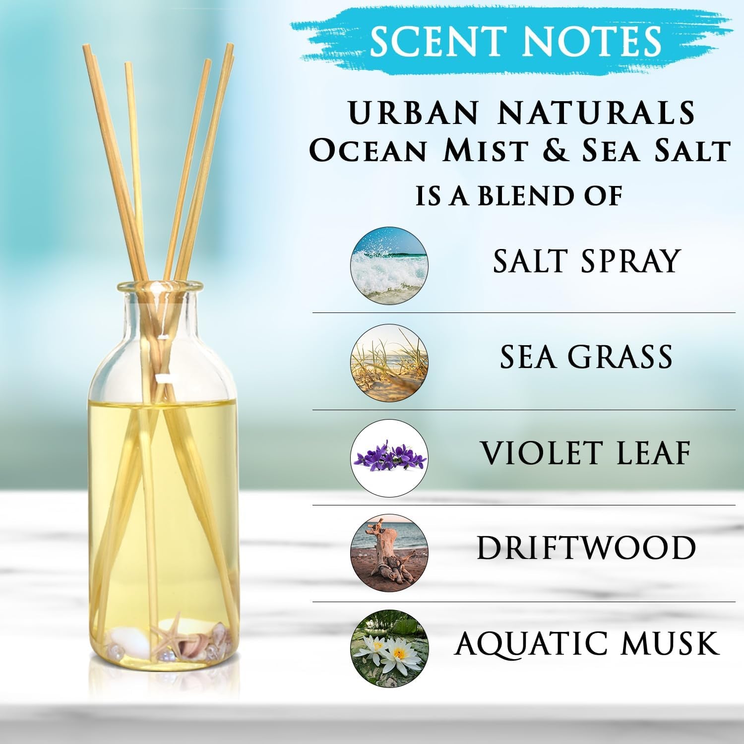 Ocean Mist & Sea Salt Reed Diffuser Set | Made with Essential Oils & Real Botanicals | Decorative Air Freshener for Large Rooms | Beautiful Home Décor Makes a Great Gift