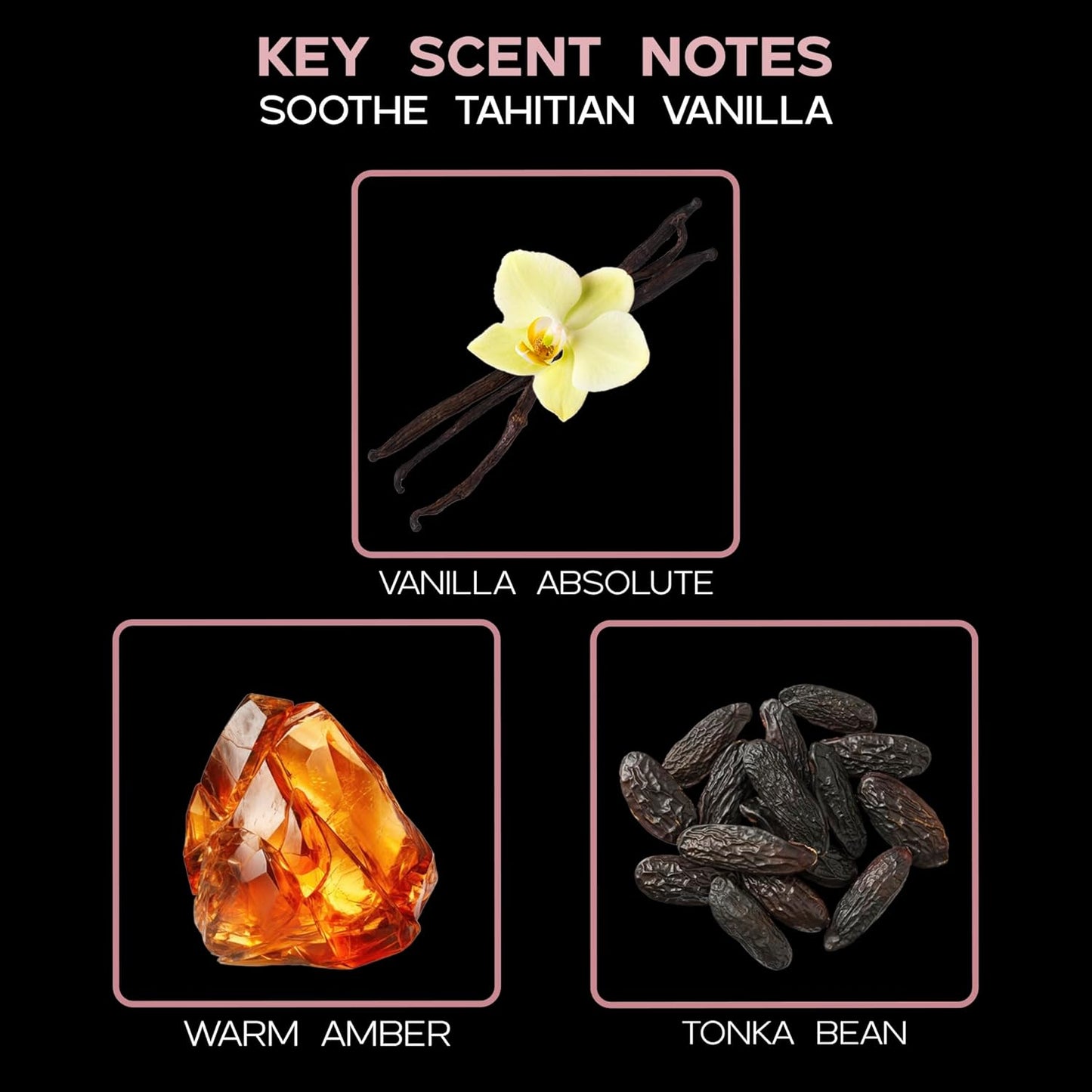 Soothe Tahitian Vanilla Bean Reed Diffuser Refill Oil with Replacement Reed Sticks | Vanilla Absolute, Amber and Tonka Bean Essential Oils, 4 Oz - Made in the USA